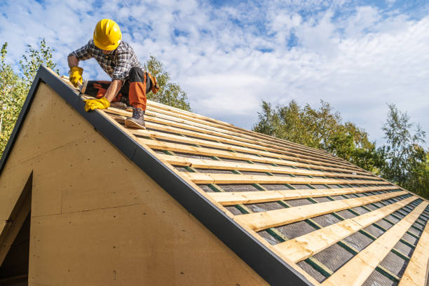 Roof Repair Estimates in Tampa, FL