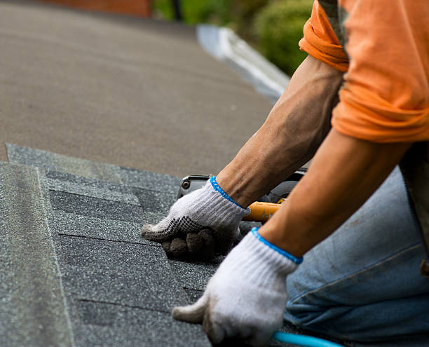 Roof Gutter Cleaning in Tampa, FL