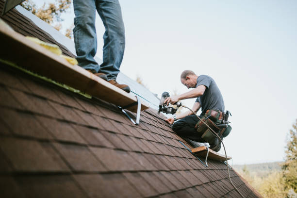 Quick and Trustworthy Emergency Roof Repair Services in Tampa, FL